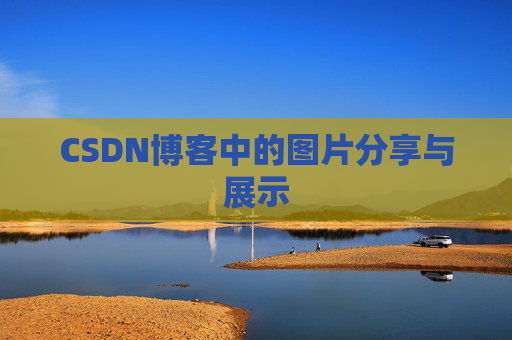 CSDN博客中的图片分享与展示